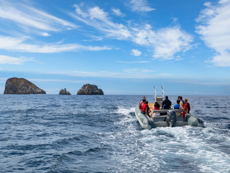 Croisière CEL Celebrity Flora Navettes maritimes Novurania