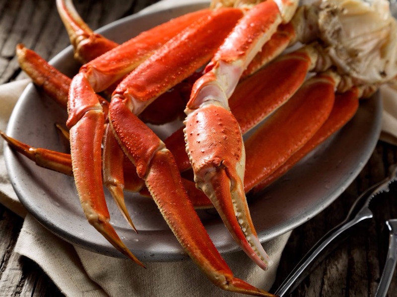 Croisière PCL Princess Crab Schack