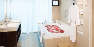 ncl-norwegiancruiseline-gem-thehaven